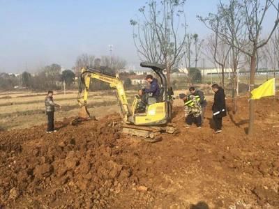 元旦前，應城再添靚麗綠化節(jié)點，守護文物文化遺址