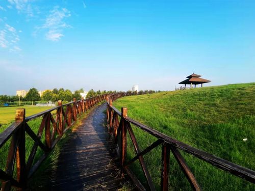 第二批山東省省級考古遺址公園名單公布，濟寧兩遺址入選助力文化遺產(chǎn)保護